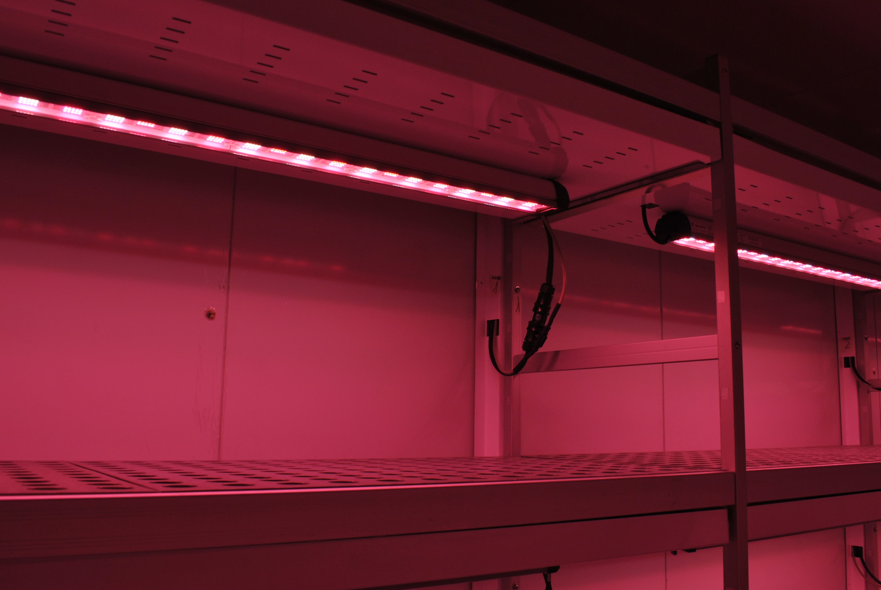 Detalle de estanterías de cultivo