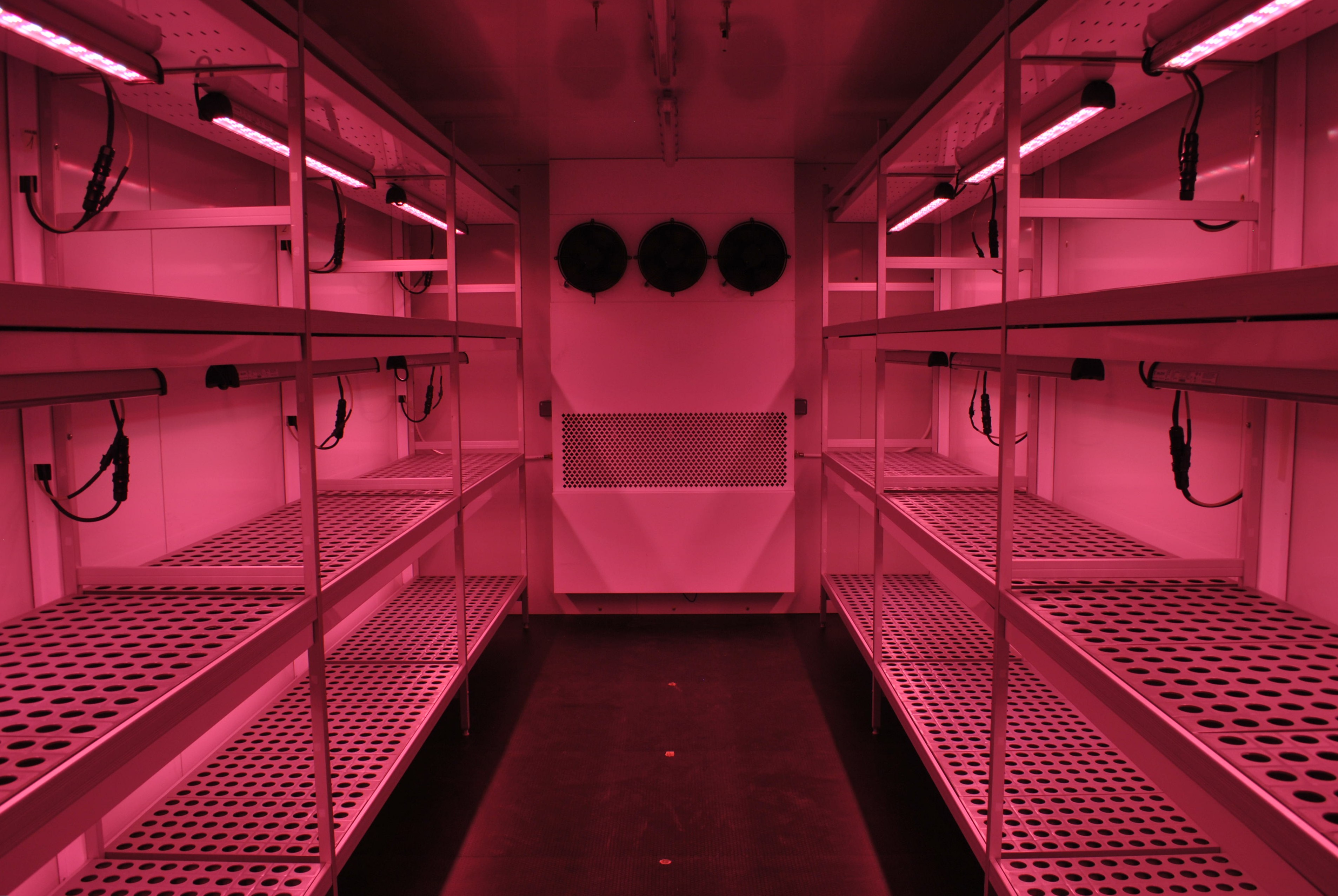 Interior de un walk-in de biotecnología con iluminación LED de cultivo