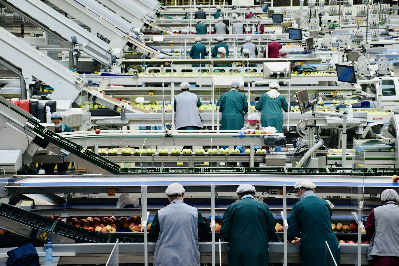 Sector Alimentario