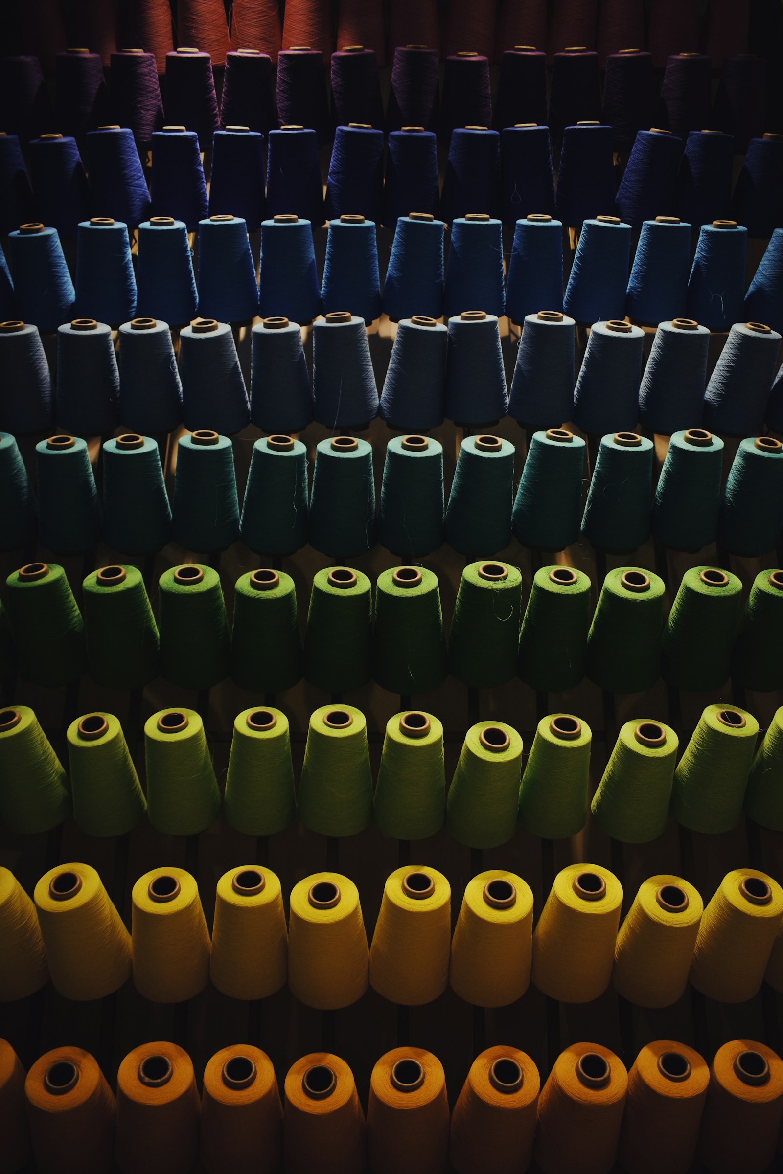 Sector Textil